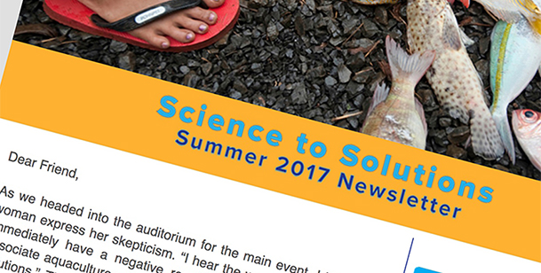 HTML Email Newsletter