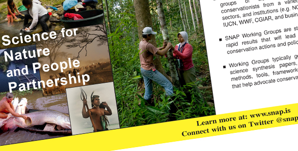 SNAPP Marketing Pamphlet