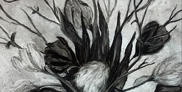 Charcoal Drawing of Flowers in Vase