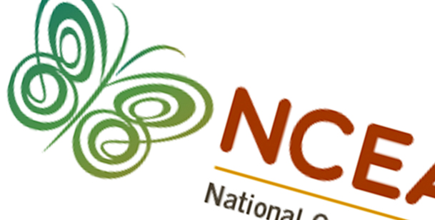 NCEAS Writing Samples